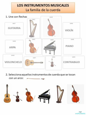 Ejercicio Clase de Instrumentos. Interactive worksheet | TopWorksheets