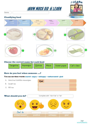 Vocabulary: interactive worksheets and online exercises | TopWorksheets